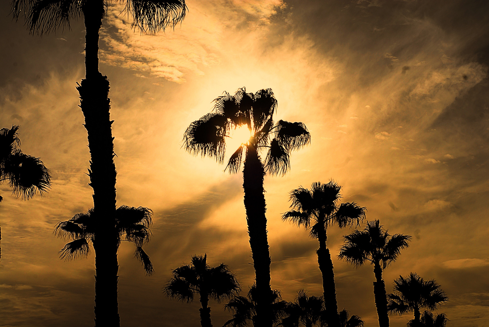 Wenn der Himmel brennt über Gran Canaria