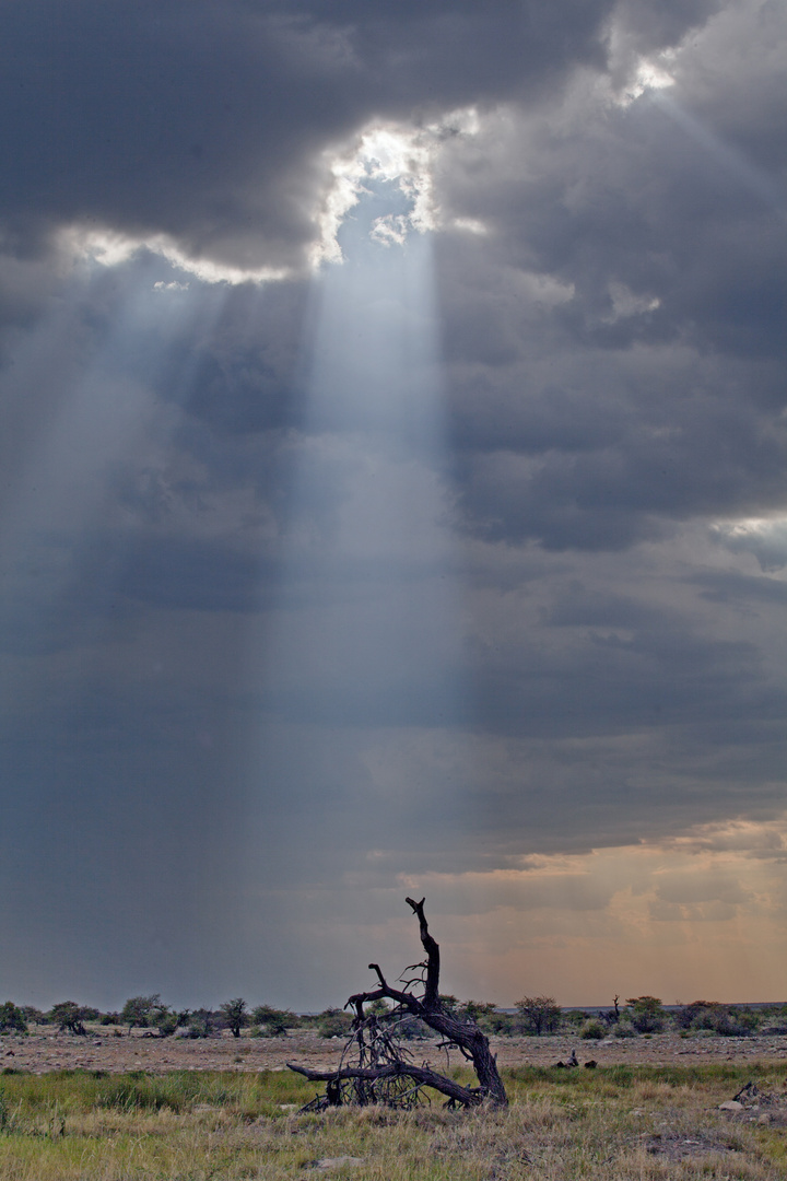 ... wenn der Himmel die Erleuchtung bringt ...