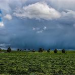 Wenn der Himmel sich verdunkelt (1)