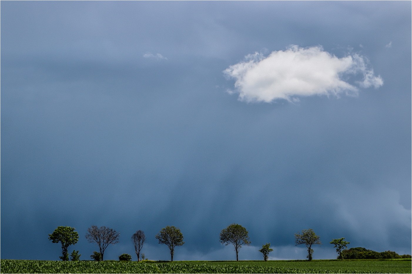 Wenn der Himmel sich verdunkelt