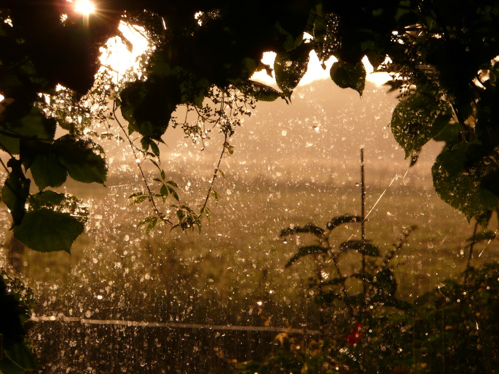 Wenn der Himmel weint und die Sonne lacht