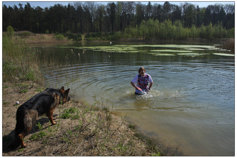 Wenn der Hund nicht will...