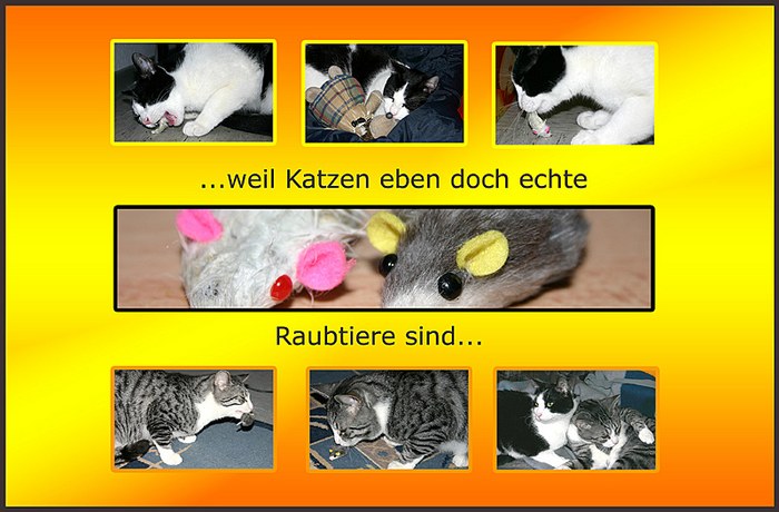 Wenn der Instinkt aus Kuscheltieren Raubtiere macht...