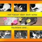 Wenn der Instinkt aus Kuscheltieren Raubtiere macht...