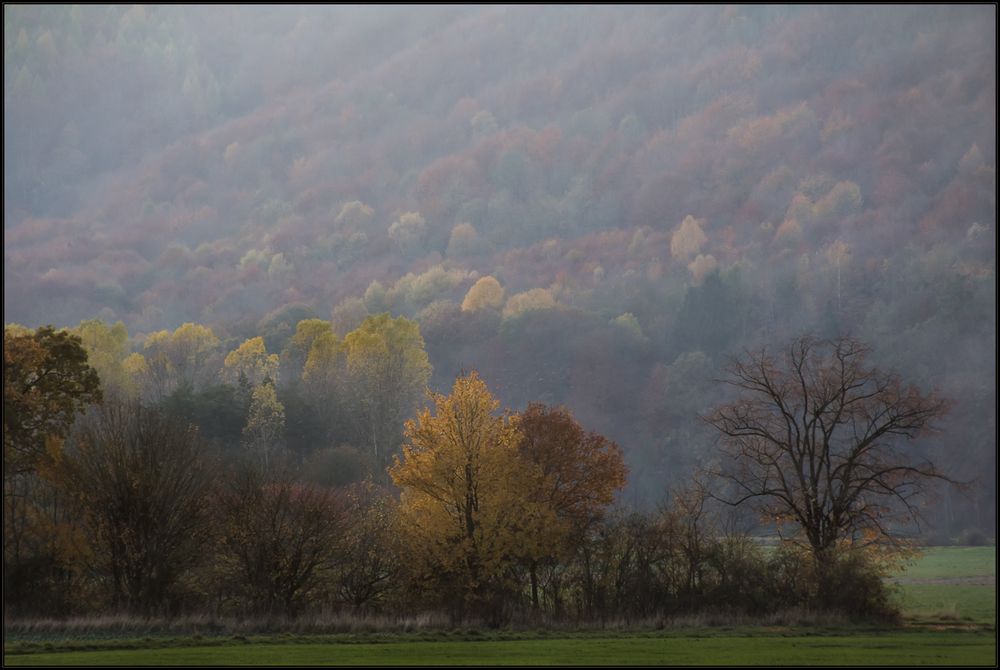 Wenn der Kandel sich in Nebel hüllt...