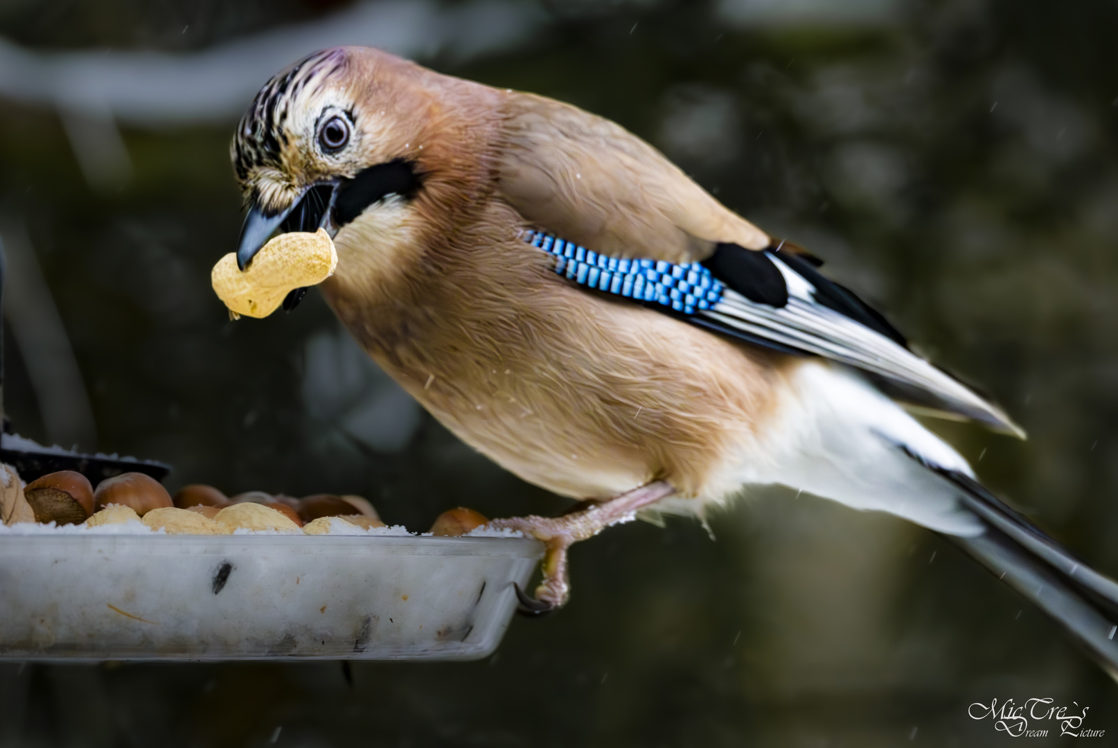 Wenn der kleine Hunger kommt...