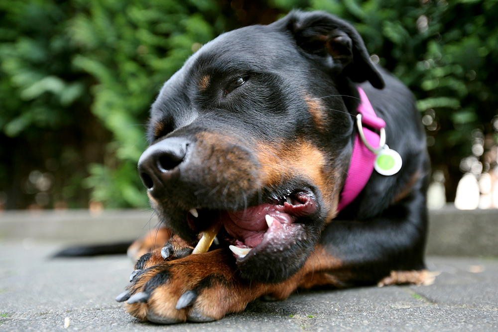 wenn der kleine Hunger kommt...