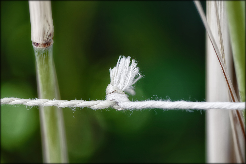 wenn der knoten platzt ...