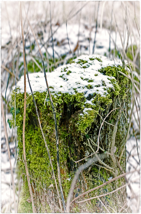 Wenn der letzte Schnee weicht...