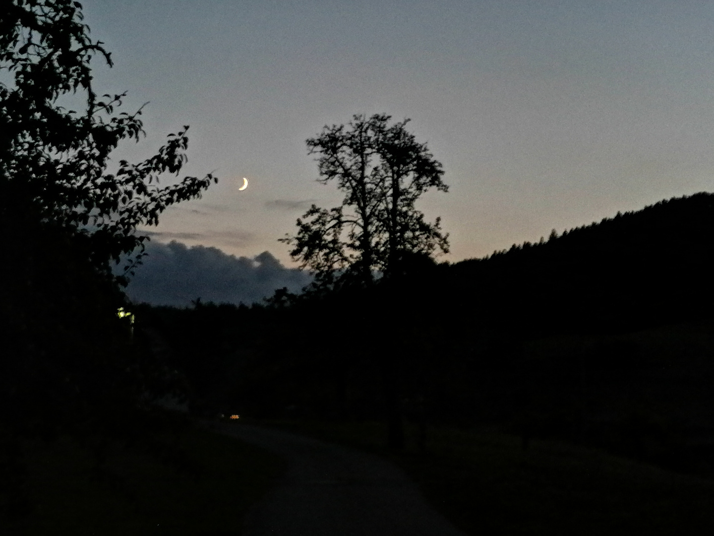 Wenn der Mond am Himmel steht