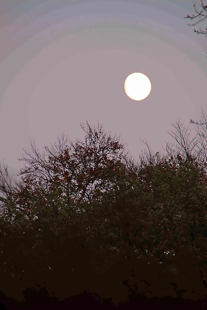 wenn der Mond seine Kreise zieht