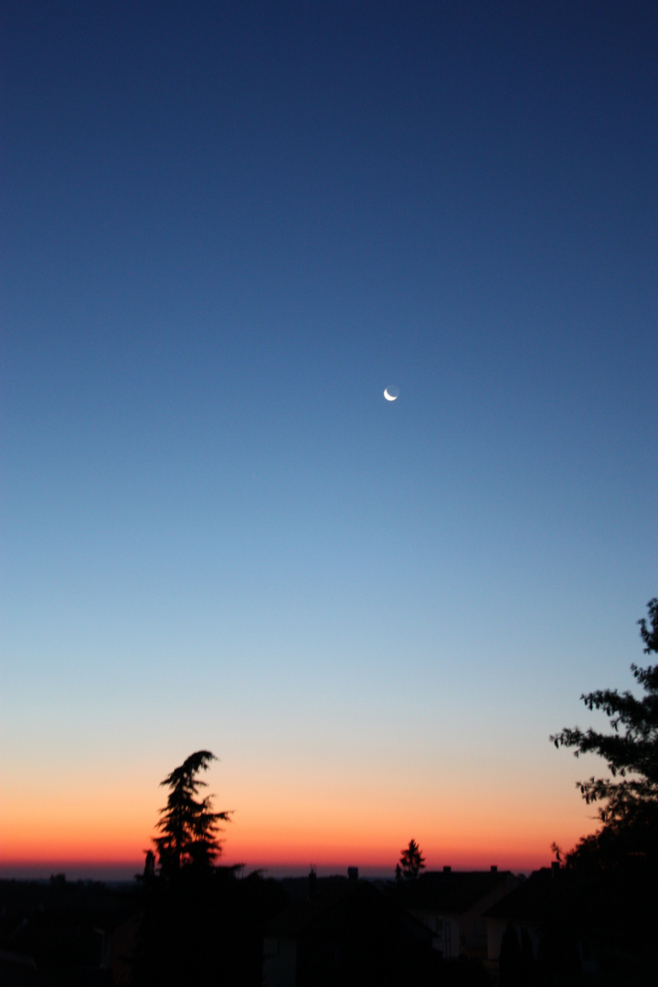 Wenn der Morgen erwacht und der Mond sich zur Ruhe legt!
