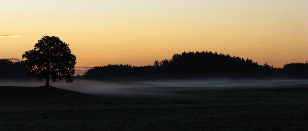 wenn der morgen graut und die nebel steigen.....