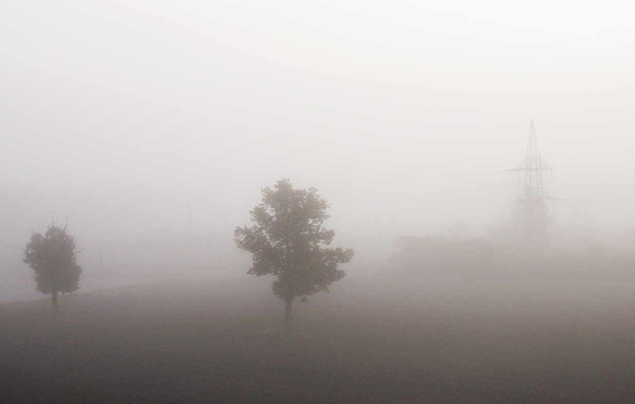 Wenn der Morgen mit Nebel graut...