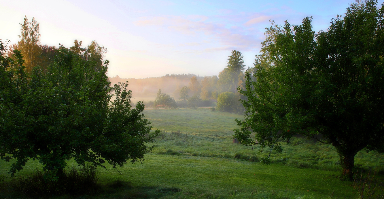 wenn der Morgen so beginnt...