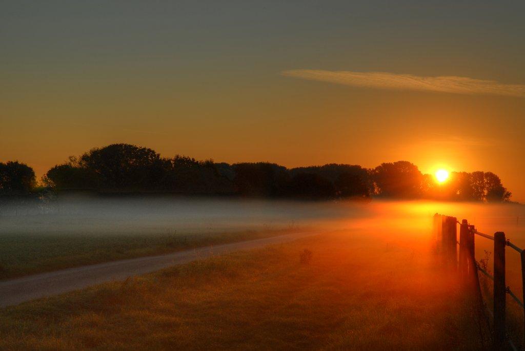 Wenn der Morgennebel der Sonne weicht....