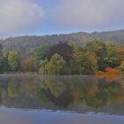 Wenn der Morgennebel sich lichtet...