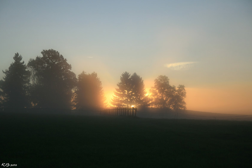 Wenn der Nebel die Natur wachküsst...