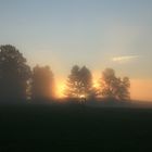 Wenn der Nebel die Natur wachküsst...