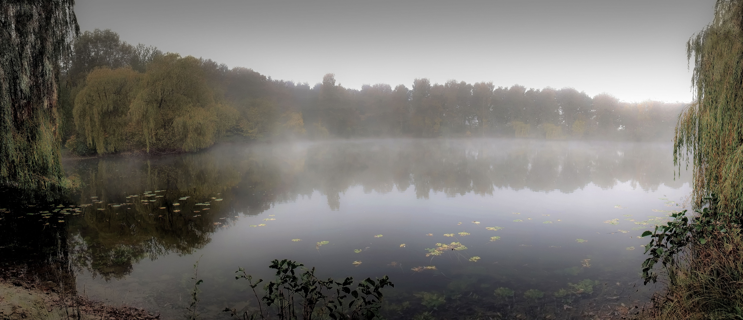 ...wenn der Nebel fällt...