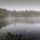 ...wenn der Nebel fällt...