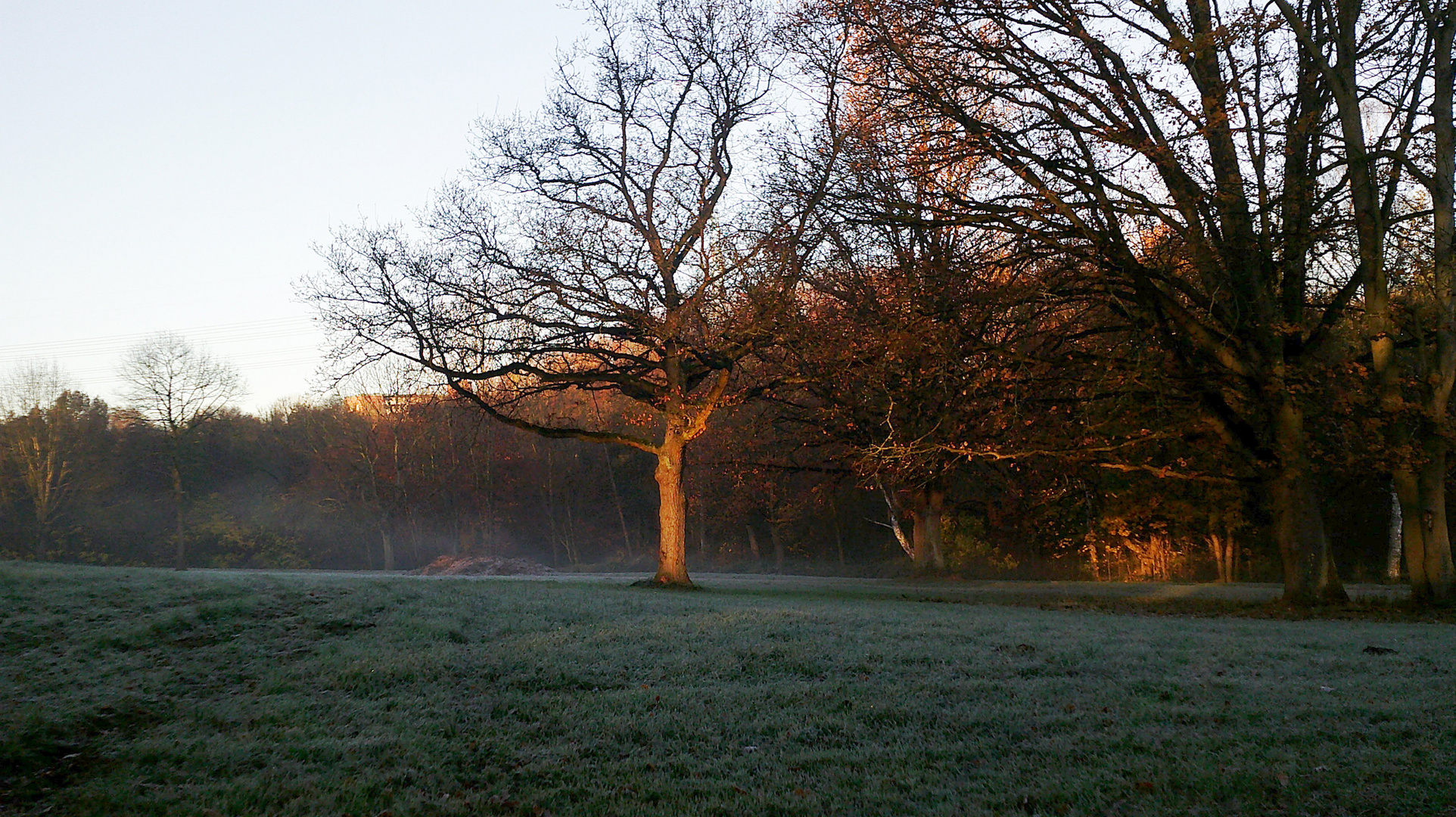 Wenn der Nebel, .......