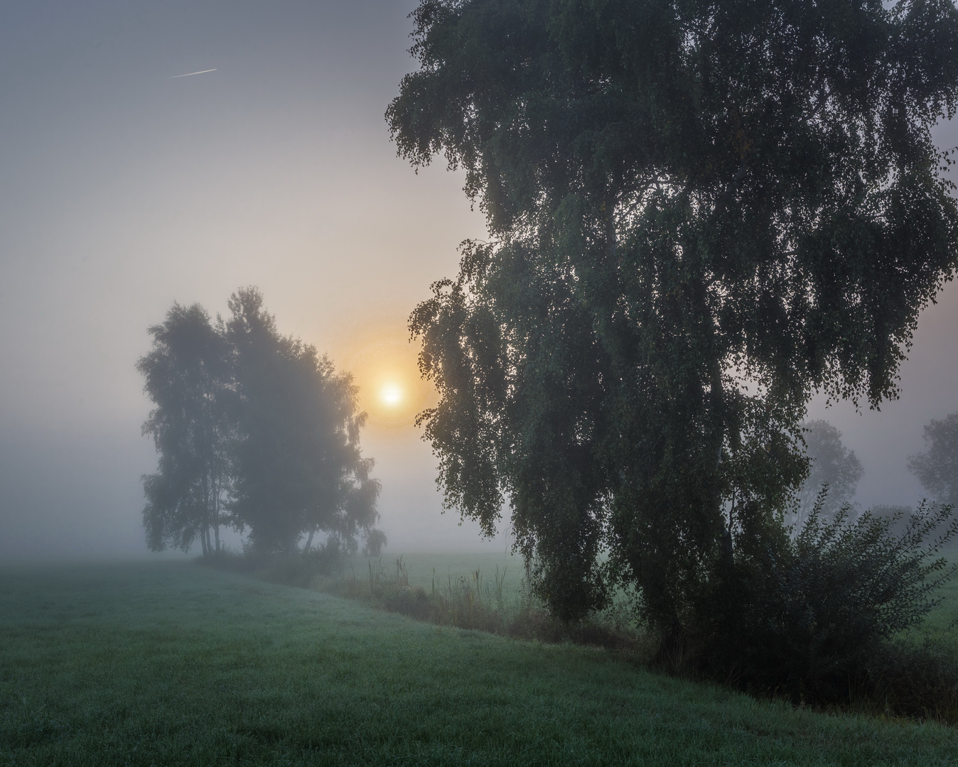 Wenn der Nebel flieht