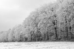 Wenn der Nebel gegangen ist....