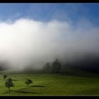 "Wenn der Nebel geht"