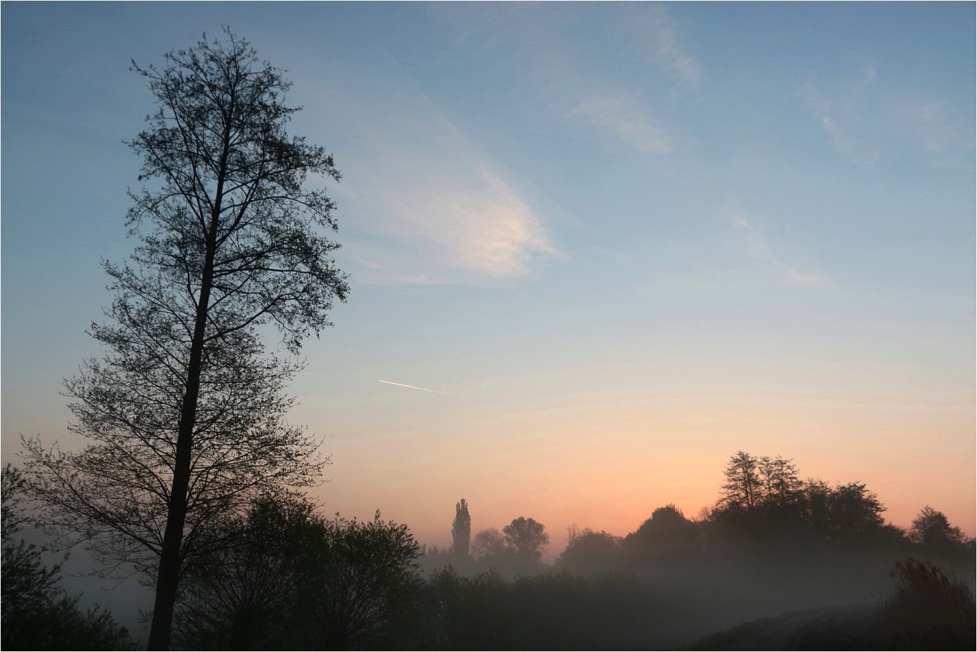 Wenn der Nebel kommt