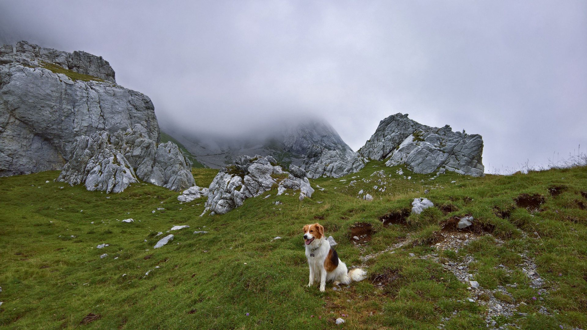 Wenn der Nebel kommt