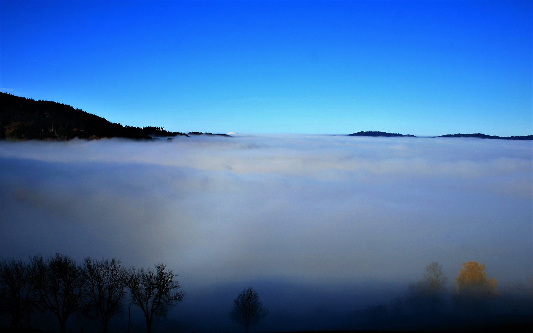 wenn der nebel kommt,