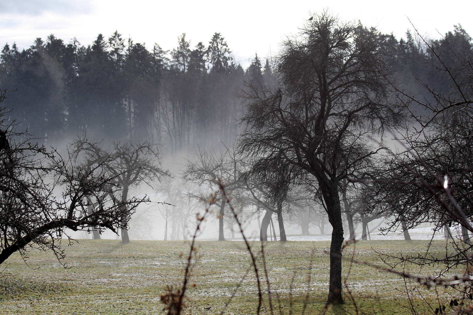 Wenn der Nebel kommt...