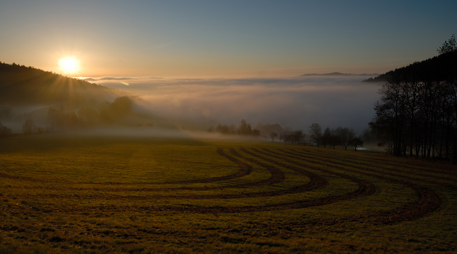 Wenn der Nebel kommt...