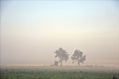 wenn der Nebel sich davon schleicht...