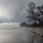 Wenn der Nebel sich lichtet (2)