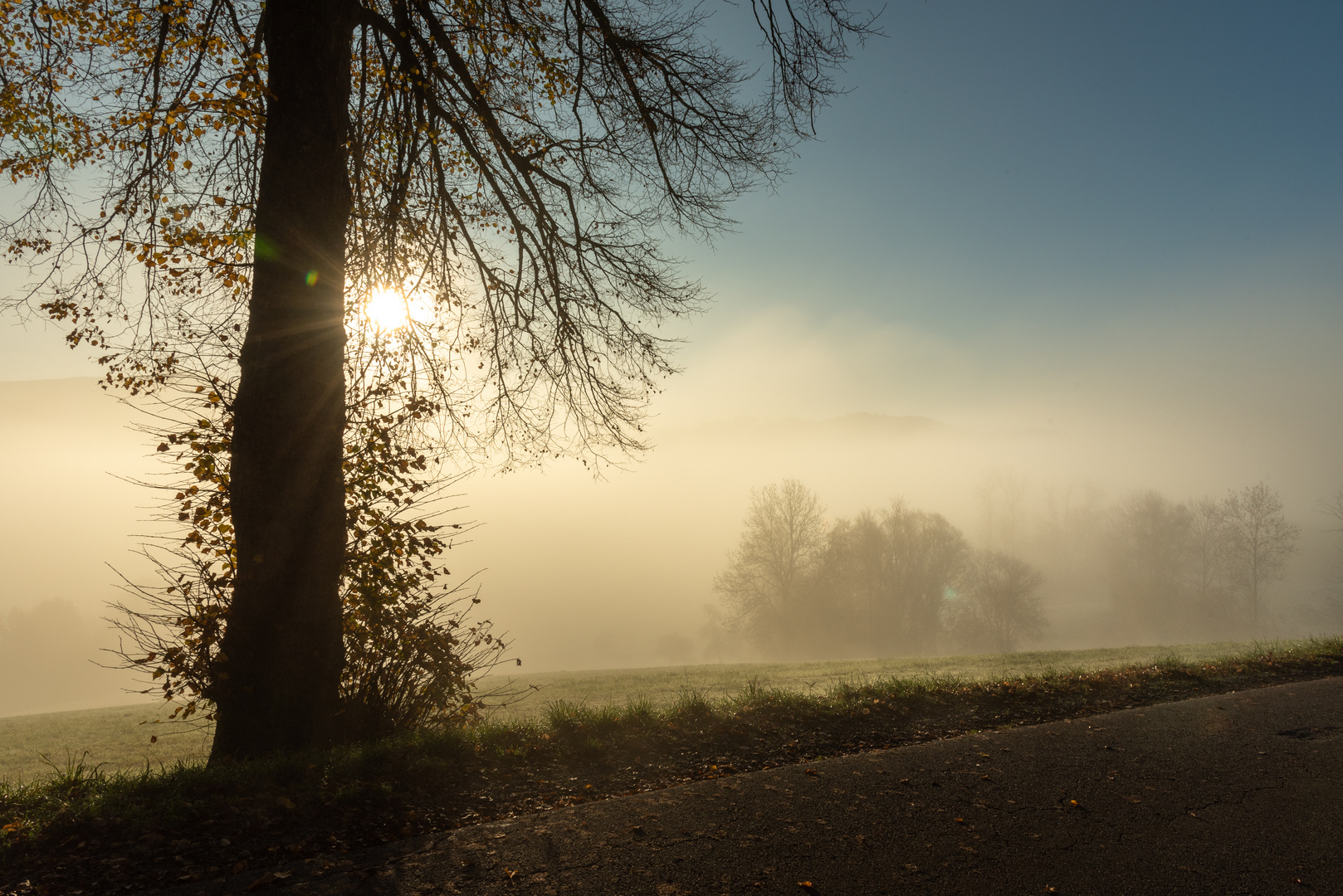 wenn der Nebel sich lichtet