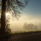 wenn der Nebel sich lichtet