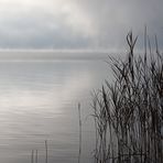 Wenn der Nebel sich lichtet