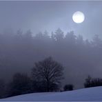 wenn der Nebel sich lichtet...