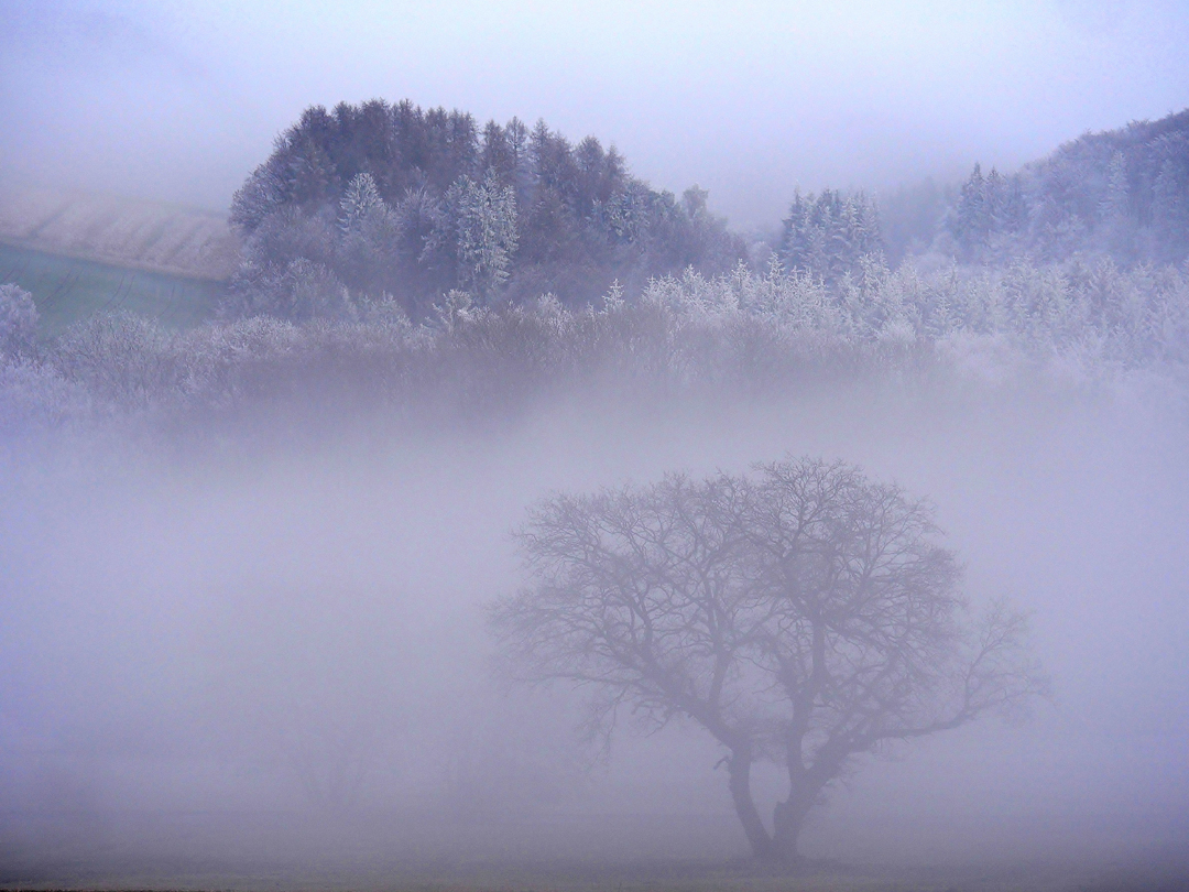 Wenn der Nebel steigt