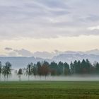 wenn der Nebel über den Boden tanzt