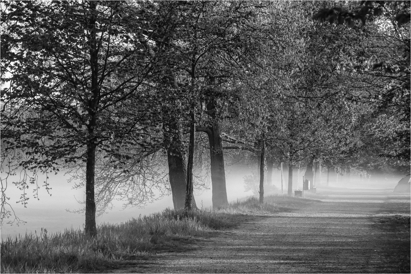 Wenn der Nebel über die Wege kriecht