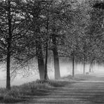 Wenn der Nebel über die Wege kriecht