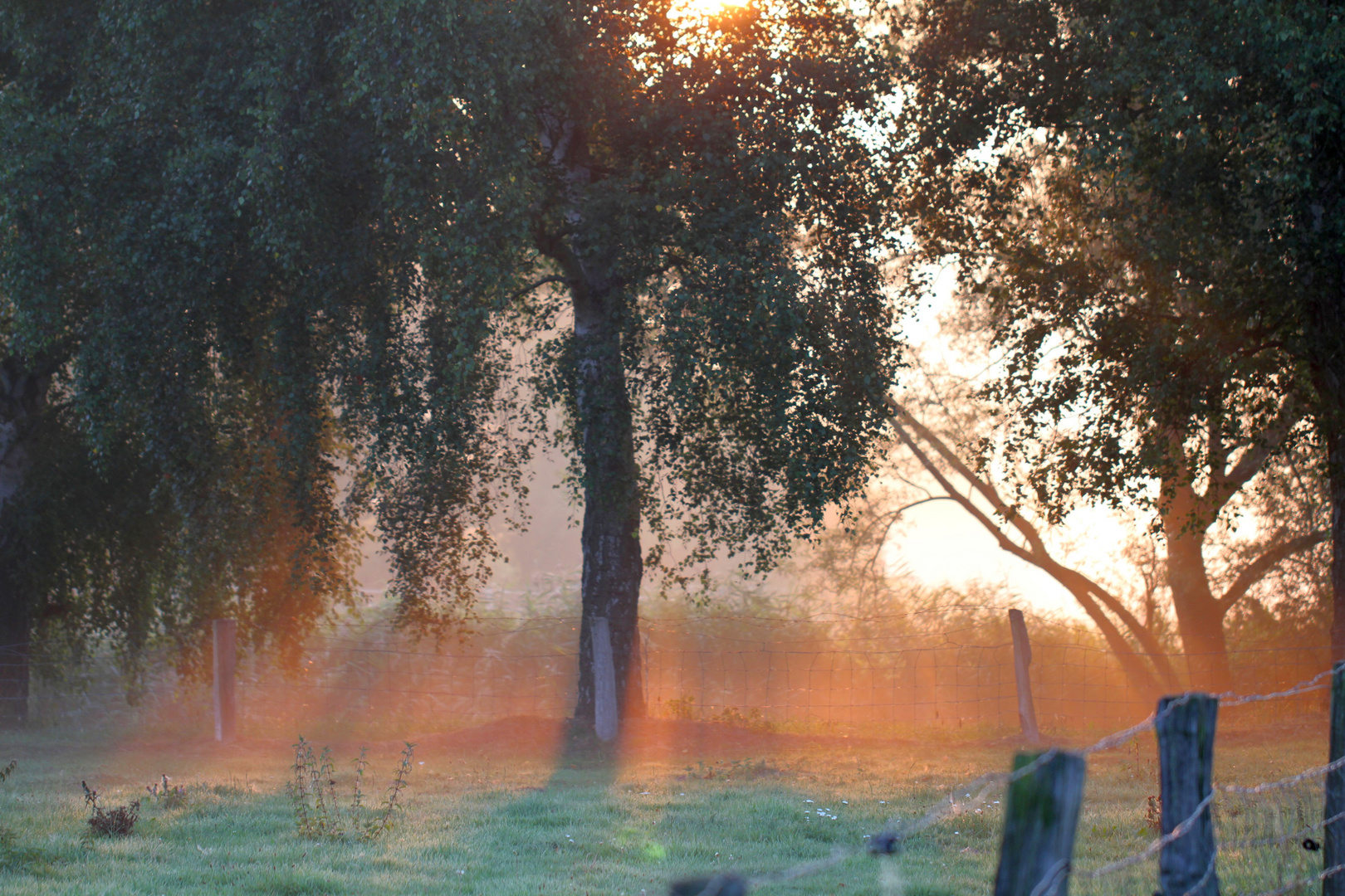 Wenn der Nebel weicht....