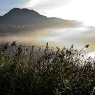 Wenn der Nebel weicht über dem Hintersee