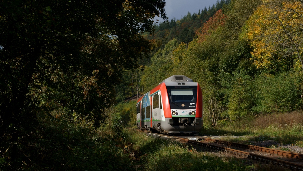 Wenn der Odenwald zum Dschungel wird, ...