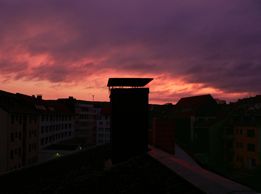 Wenn der Pfingstmorgen violettet