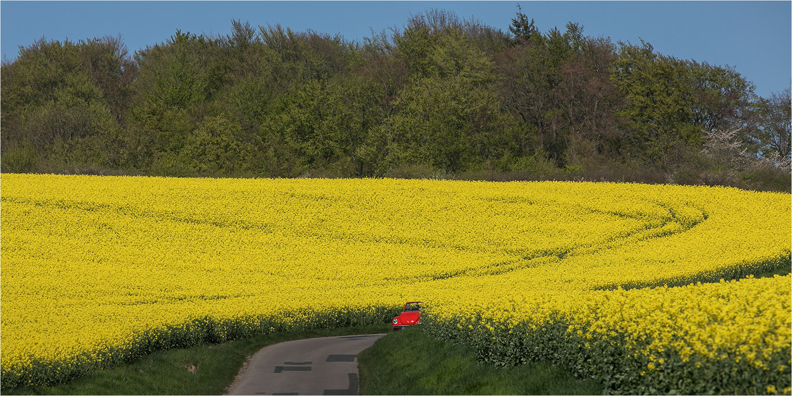 Wenn der Raps im Weserbergland blüht