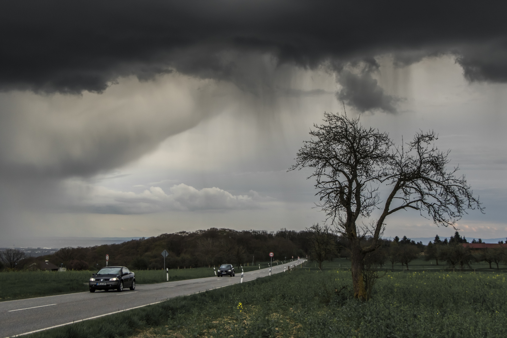 wenn der Regen kommt ...